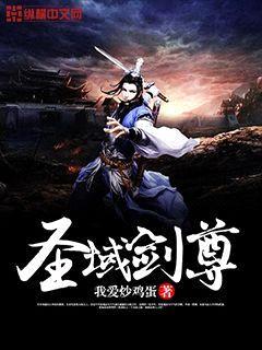 圣域剑尊无弹窗